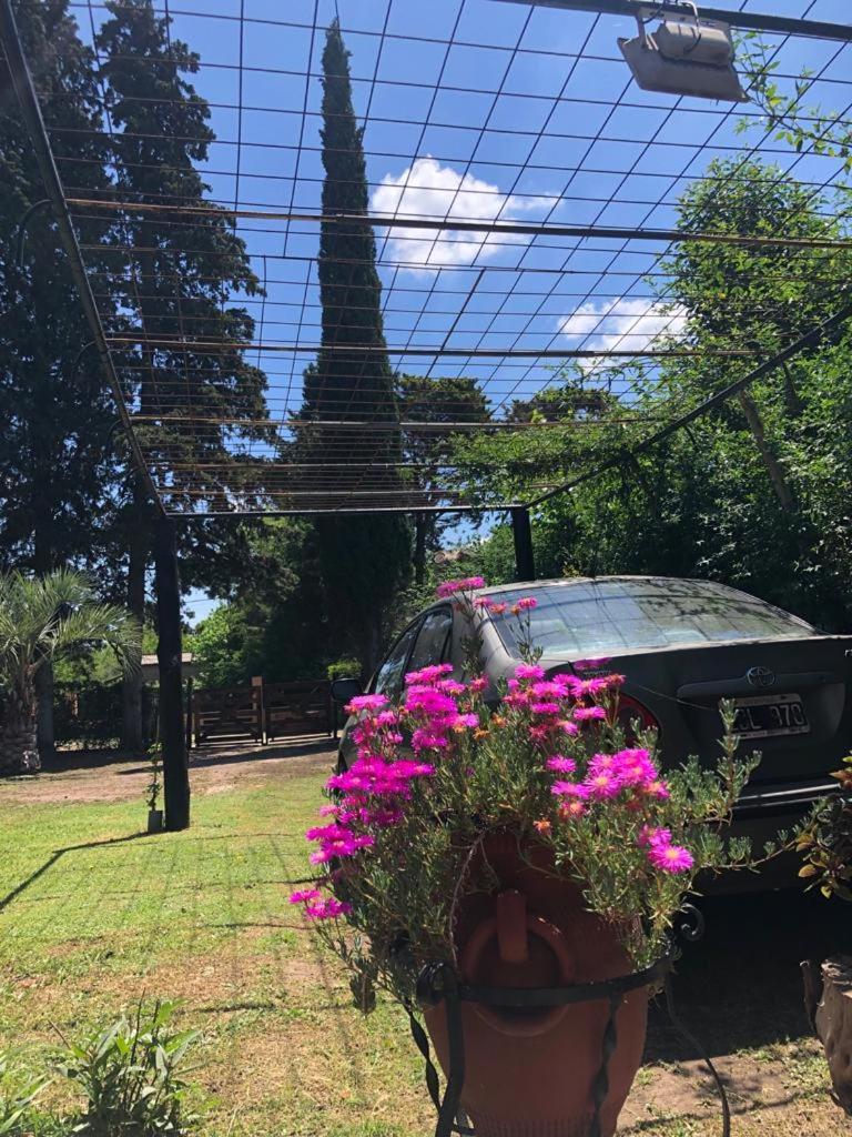 Ezeiza Quinta Cedro Azul 10 Min Del Aeropuerto Villa Екстериор снимка